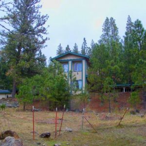 Kelly-Lodge-nestled-in-the-trees