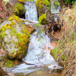 Lucky-Miner-Roadside-Falls