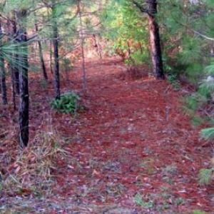 Outdoor-Winona-Trails