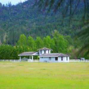 Pasture-and-Chapel