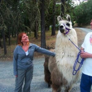 Patriot-our-lead-llama