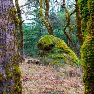 Puppy-Dog-Rock-the-Oaks