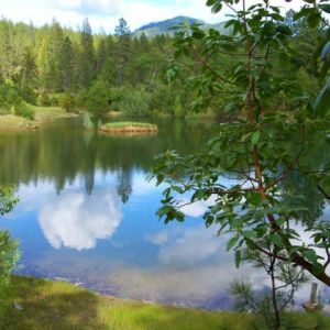 Wild-Goose-Fishing-Lake