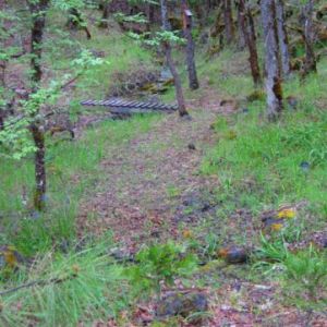 sunken-garden-spring-trail